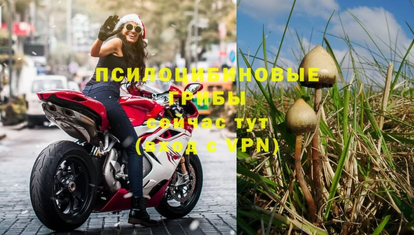 спиды Володарск