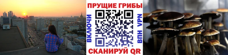 Галлюциногенные грибы Cubensis  Волгодонск 